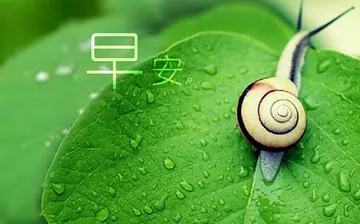 给朋友发早上好的问候语