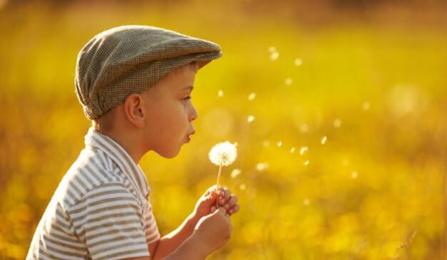 关于生命的格言