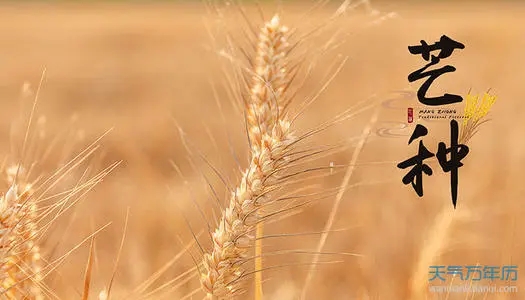 芒种的著名诗句文案