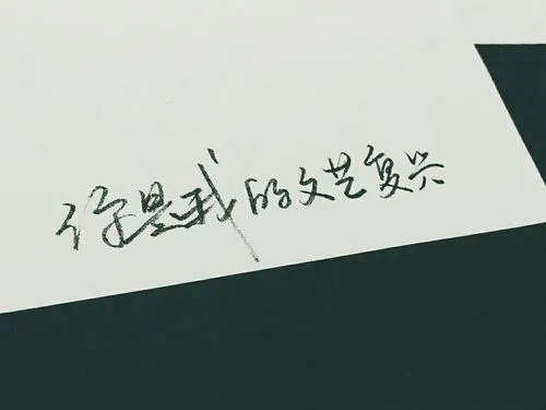 玩弄爱情的相关语句文案