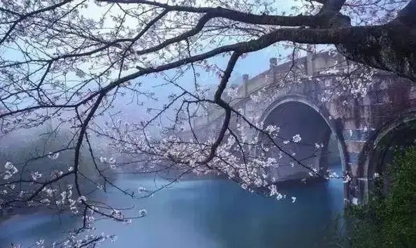 别人休息你在努力名言