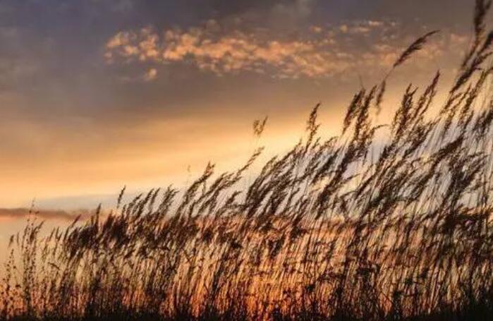 夕阳余晖的唯美诗句文案