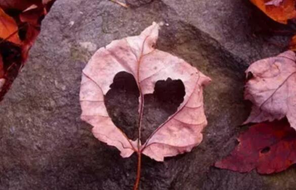 信任的句子文案经典语录