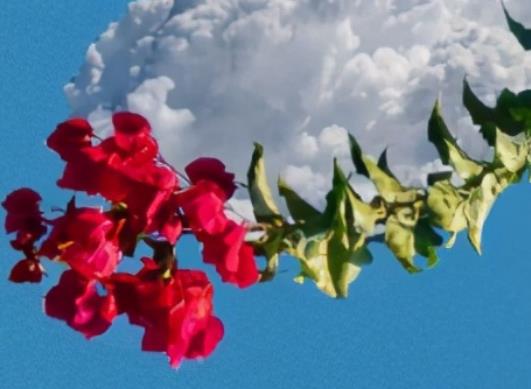 发红包祝福语八个字