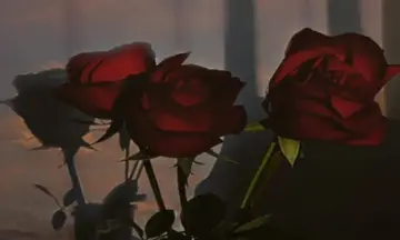 形容人生不易的句子文案