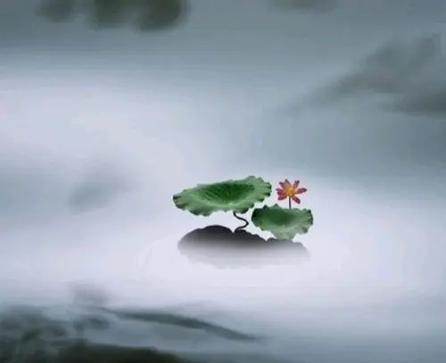 优美的佛经句子文案