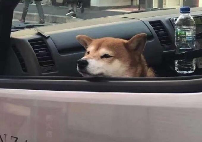 关于作文的优美句子文案摘抄简短