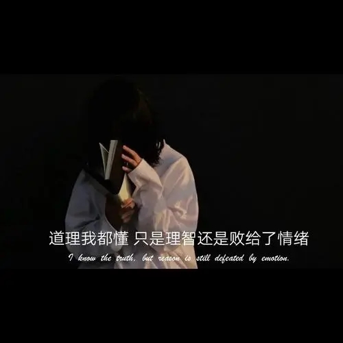 生活现实又很扎心的句子文案