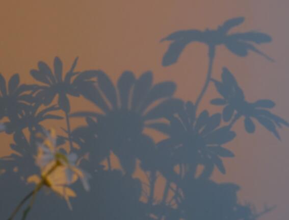 表达心凉失望的句子文案说说心情