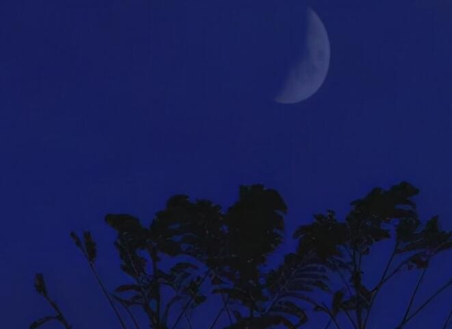 有点迷茫的心情说说文案