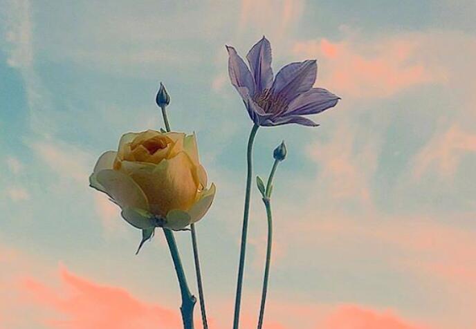 简短早上问好句文案