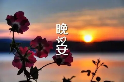晚上睡觉问候语