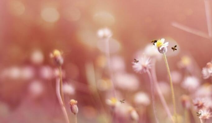 人生迷茫的正能量句子文案