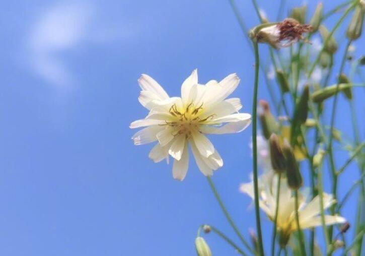 道理我都懂的句子文案