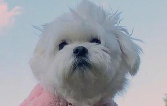 励志语录文案正能量短句