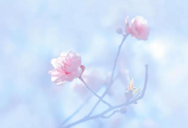 如何写出惊艳的句子文案