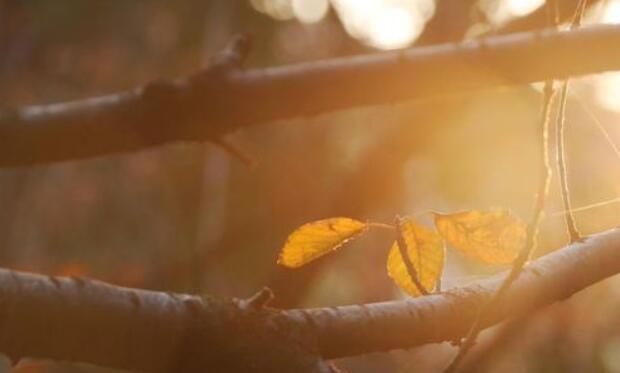 微信签名一句话至爱人