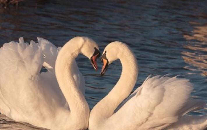 深夜语录文案经典语录文案励志
