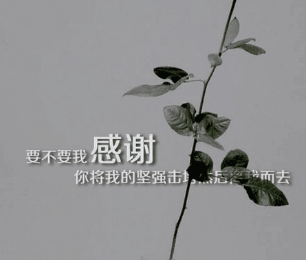 珍惜彼此感情的句子文案