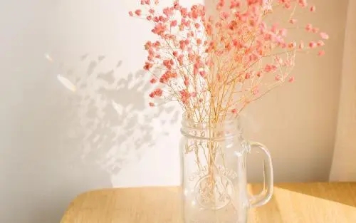 开心说说心情句子文案唯美