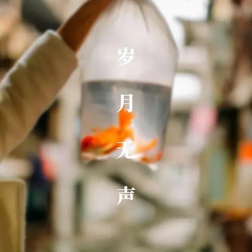 感叹时光匆匆的古诗