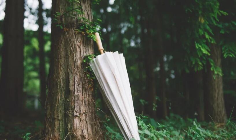 表达一个人很孤独的诗词