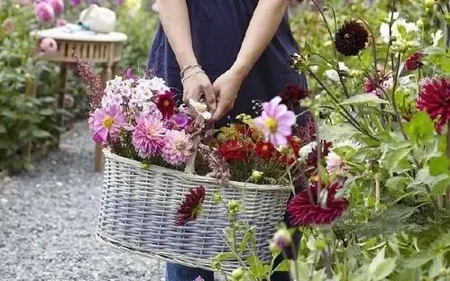 花市买花的心情说说文案
