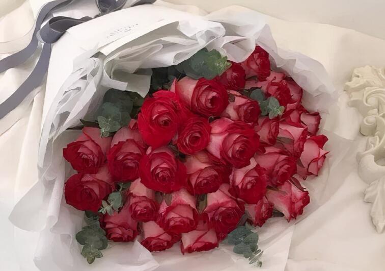 原耽奋斗语录文案