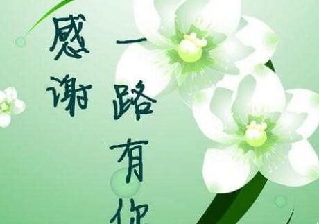 餐饮感谢顾客的短句