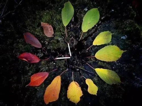 于心灵和生命有关的唯美句子文案