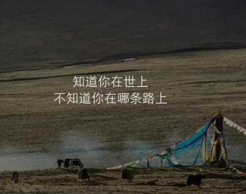 看不到任何希望的句子文案