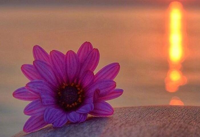 最美好的晨语问候