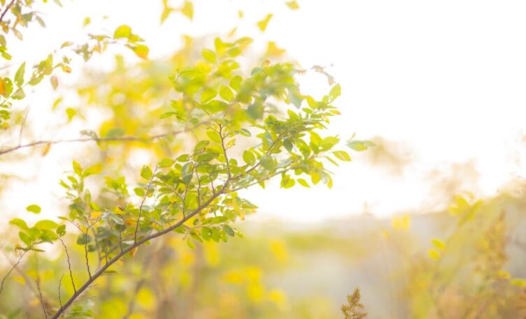 感情伤感说说文案
