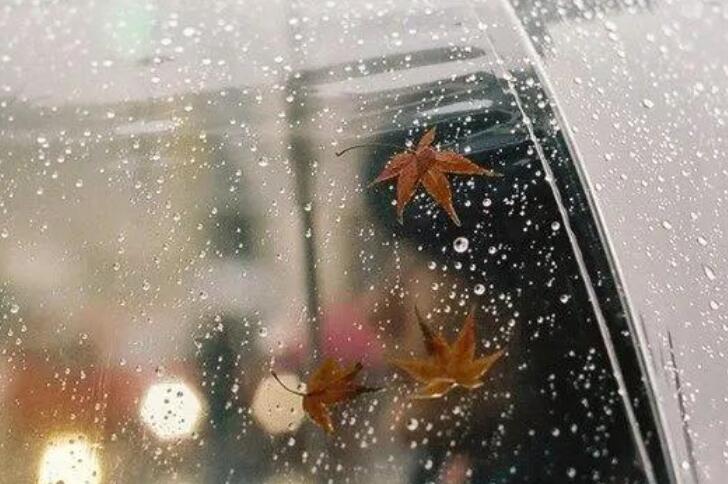 描写雨的优美段落