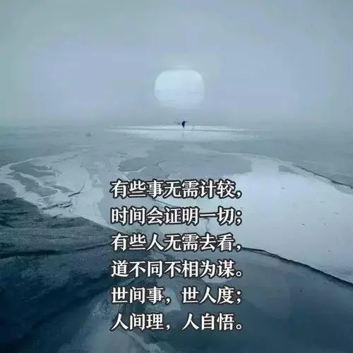 情感语录文案八字