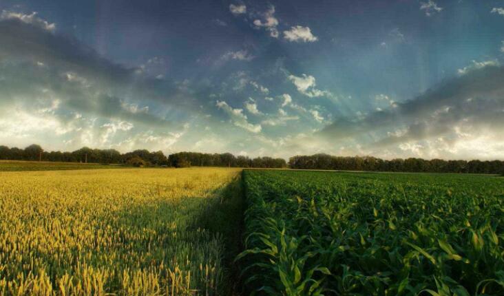 对付小人的经典语录文案