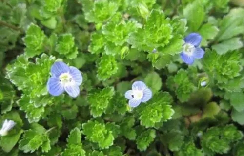 祝福别人生活愉快的句子文案