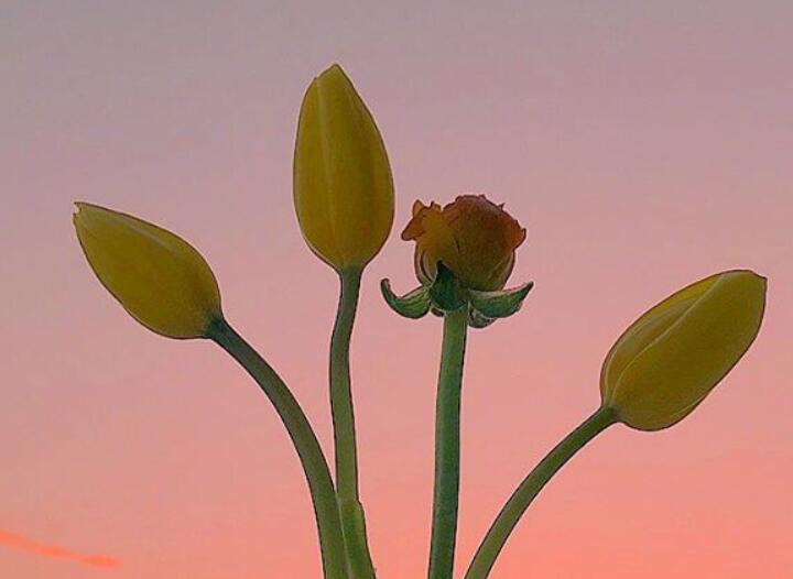 最暖心的早上问候语