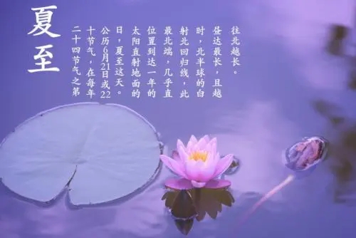 关于立夏的句子文案