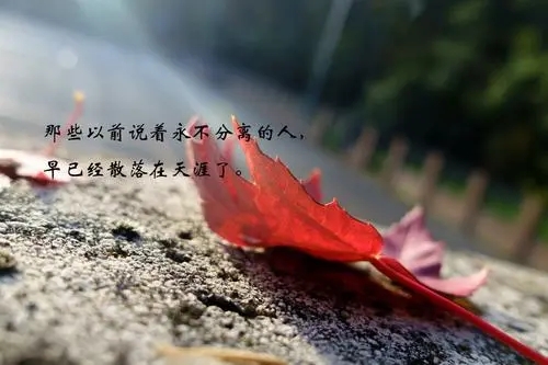 霸气的句子文案唯美短句子文案