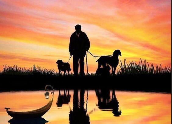 抖音的经典图片和句子文案