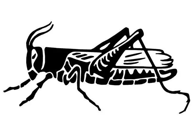 打比方说明方法的句子文案