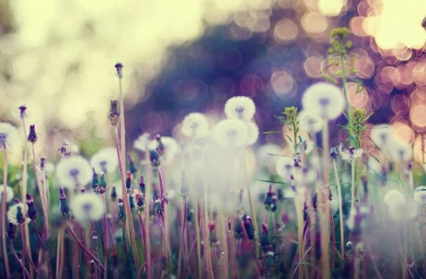 对一段感情彻底死心的句子文案