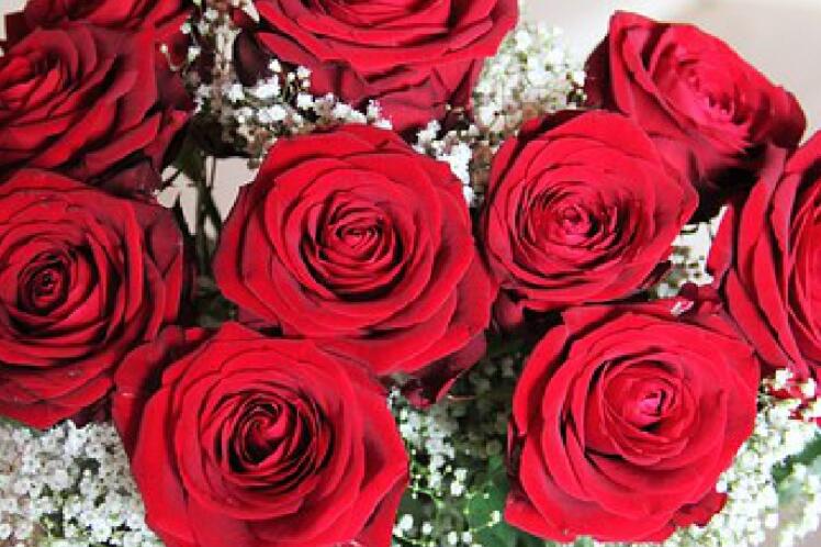 关于我愿的唯美句子文案