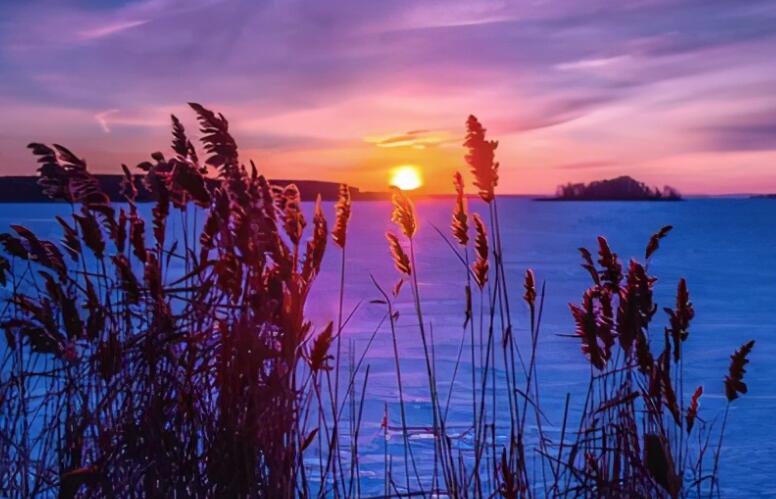 初中优美段落摘抄