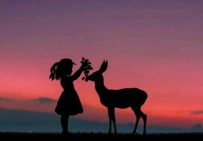 00后伤感语录文案