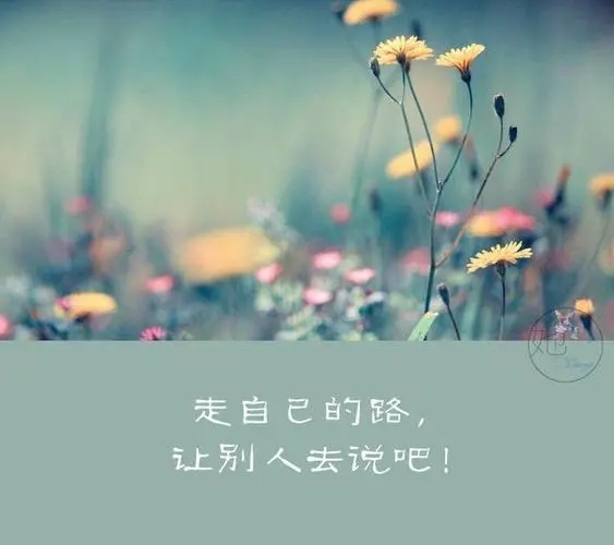 走自己的路霸气句子文案