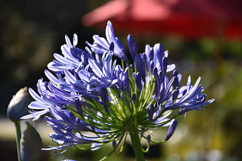 夫妻牵手的句子文案唯美短句