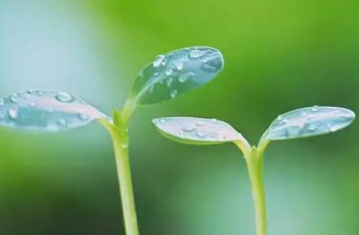 立春发朋友圈的说说文案