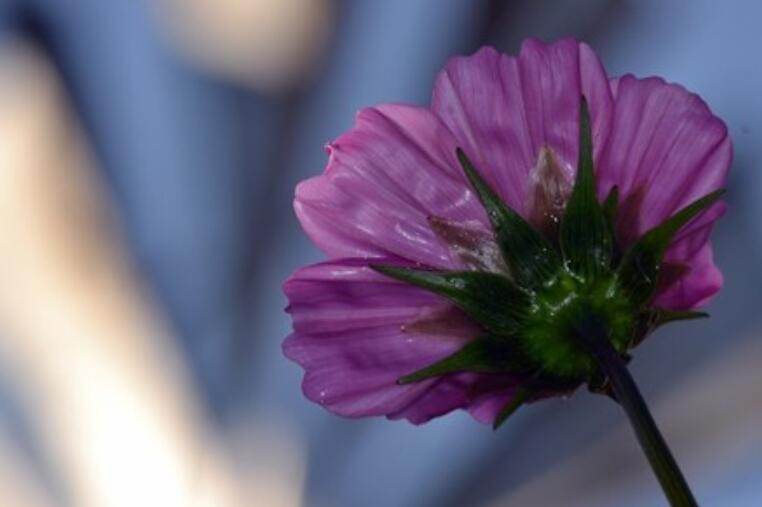 两个人感情疏远的说说文案